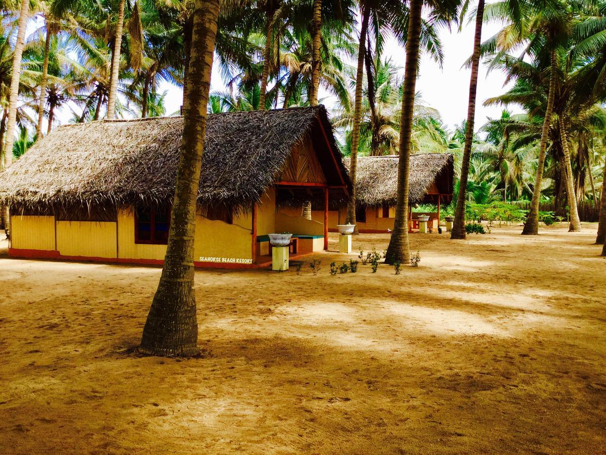 Seahorse Beach Resort Kalpitiya Buitenkant foto